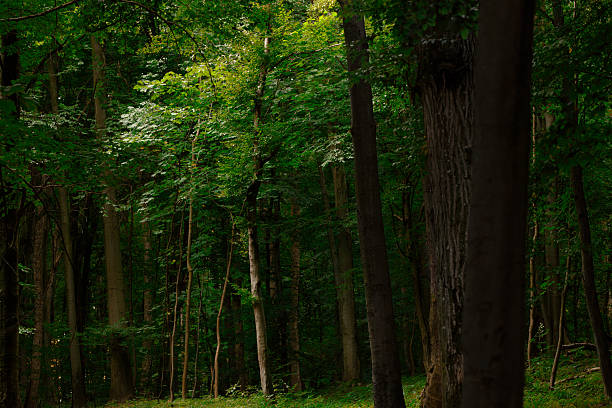 Water and nature for mental reset